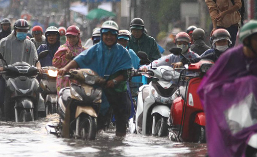 TP Hồ Chí Minh cần xóa 